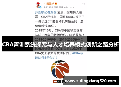 CBA青训系统探索与人才培养模式创新之路分析