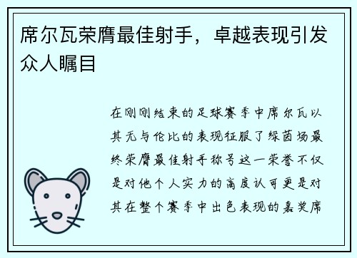 席尔瓦荣膺最佳射手，卓越表现引发众人瞩目