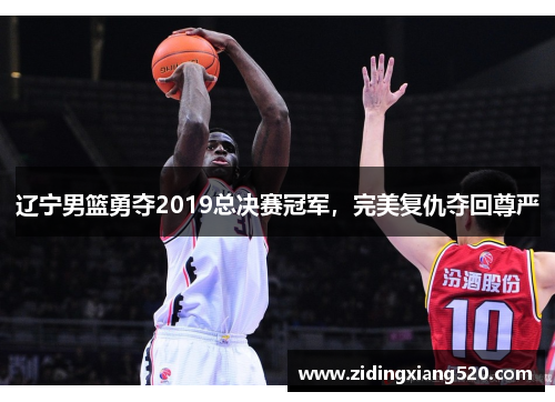 辽宁男篮勇夺2019总决赛冠军，完美复仇夺回尊严
